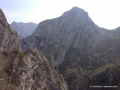 2014-04-19 11.29.45.jpg