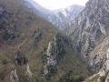 2014-04-19 11.38.11.jpg